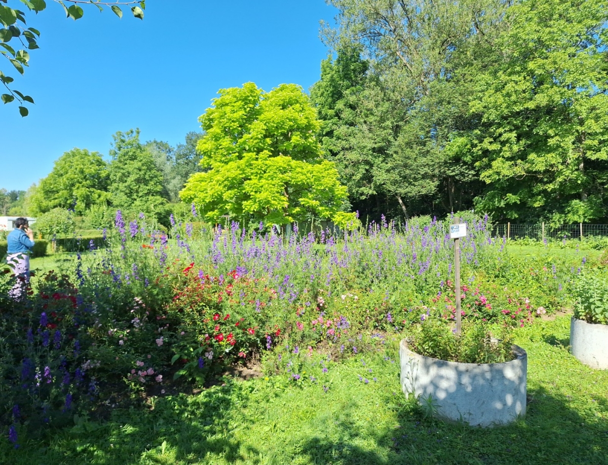 Klimaschutzgarten Gosdorf (Jugend am Werk)