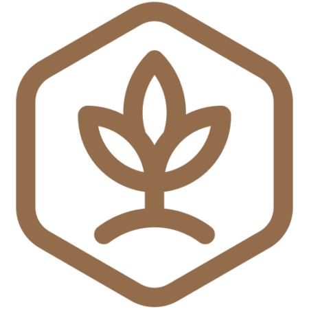 Graphik Baum umgeben von einem Sechseck in braun